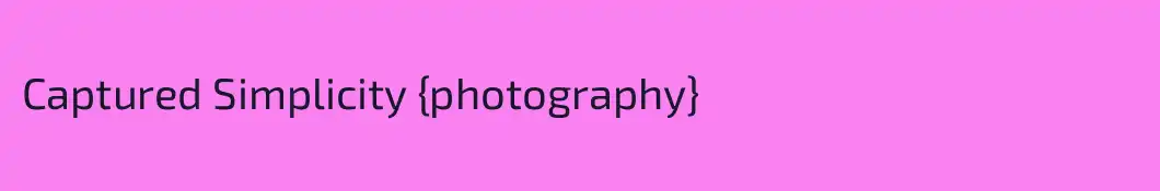 Captured Simplicity {photography}